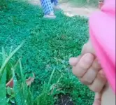 1740921915730.webp