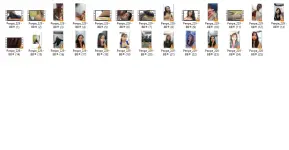 PN3.webp