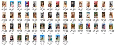 RC.webp