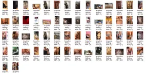 JB2.webp