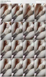 Dy Alba - BB® (2).mp4_thumbs_[2025.03.04_17.55.56].webp