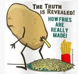 FB_IMG_1741146304099.webp