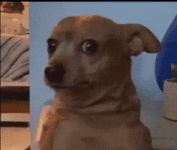 200.gif 200.gif