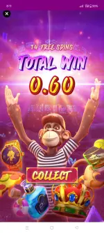 1000048232.webp 1000048232.webp