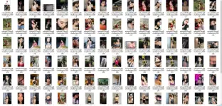 1741286729906.webp