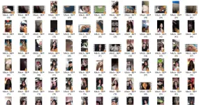 MG.webp