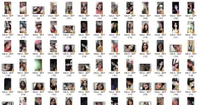 MG2.webp