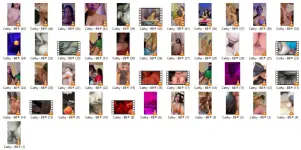 CT2.webp