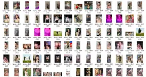 JNY3.webp