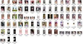 JNY4.webp