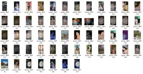 JNN.webp