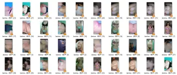 JNN2.webp