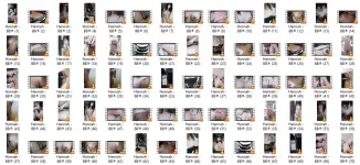 PH2.webp