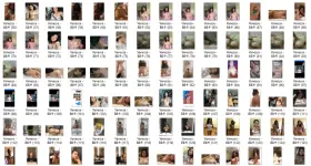 VM.webp