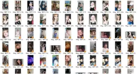 Meg2.webp