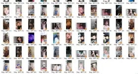 MG3.webp