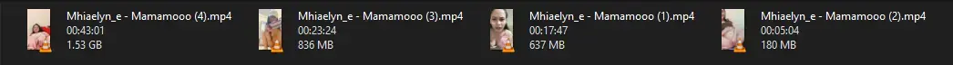 1741529843291.webp