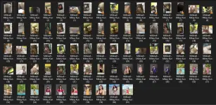 Untitled.webp