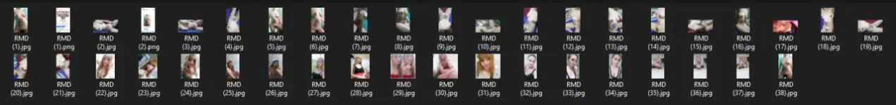1741579076988.webp