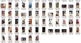 TBS5.webp
