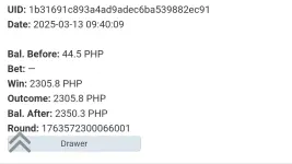 Screenshot_20250313_174219_Chrome.webp