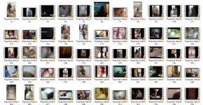 TBX8.webp TBX8.webp