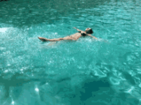 blue-water.gif