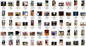 SC6.webp SC6.webp