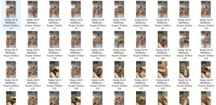 littleflashy.webp