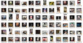 SC7.webp SC7.webp