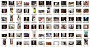 SC8.webp SC8.webp