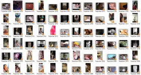 SC12.webp SC12.webp