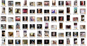 SC10.webp