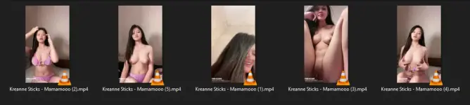 1742216387797.webp