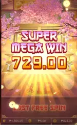 1742354181531.webp