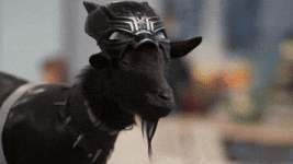 200.gif 200.gif