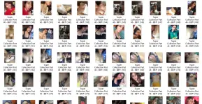 SC10.webp