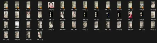 1742486584552.webp