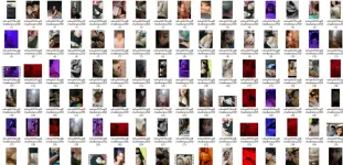 1742652972412.webp
