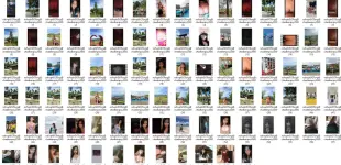 1742703112976.webp