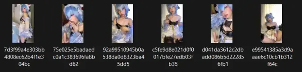1743072039339.webp