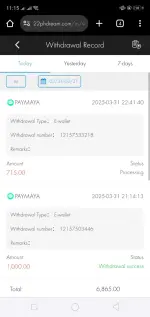 Screenshot_2025-03-31-23-15-22-41.webp
