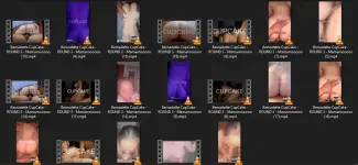 1743605119231.webp 1743605119231.webp