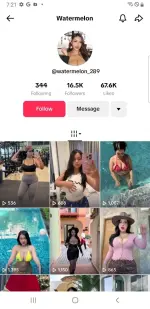 1744367675519.webp