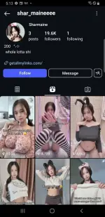 1744370045258.webp