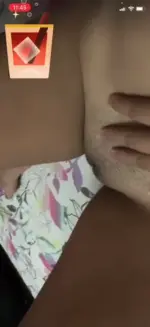 1744394243281.webp