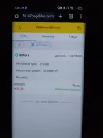 17444929562185542006279825164718.webp