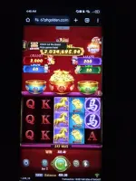 IMG_20250413_224412_HDR.webp