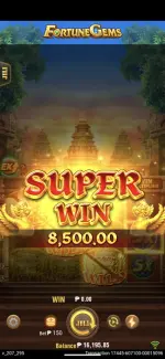 1000002843.webp