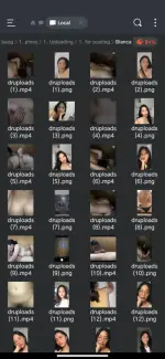 Screenshot_20250418-163226.webp